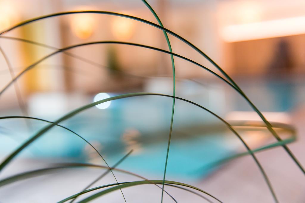 Hotel Falken Фалцес Екстериор снимка